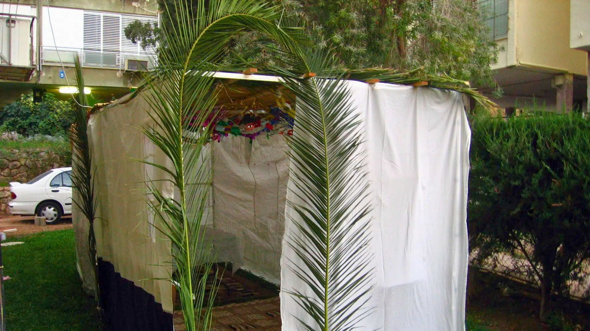 How to Celebrate Sukkot at Home: A Low-Stress Guide for Busy Humans (Even Without a Backyard)
